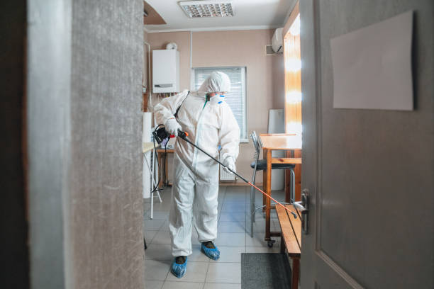 Best Attic Mold Removal  in St Ann, MO
