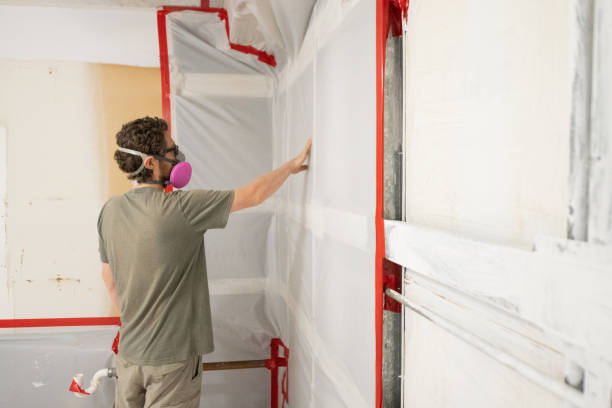 Mold Documentation for Insurance Claims in St Ann, MO