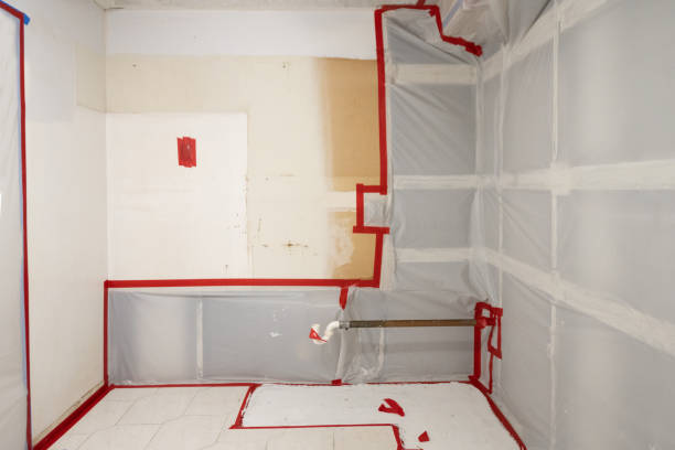Mold Remediation for Rental Properties in St Ann, MO
